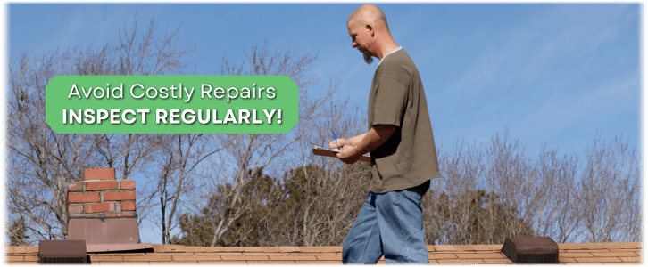 Chimney and Fireplace Inspection Norfolk